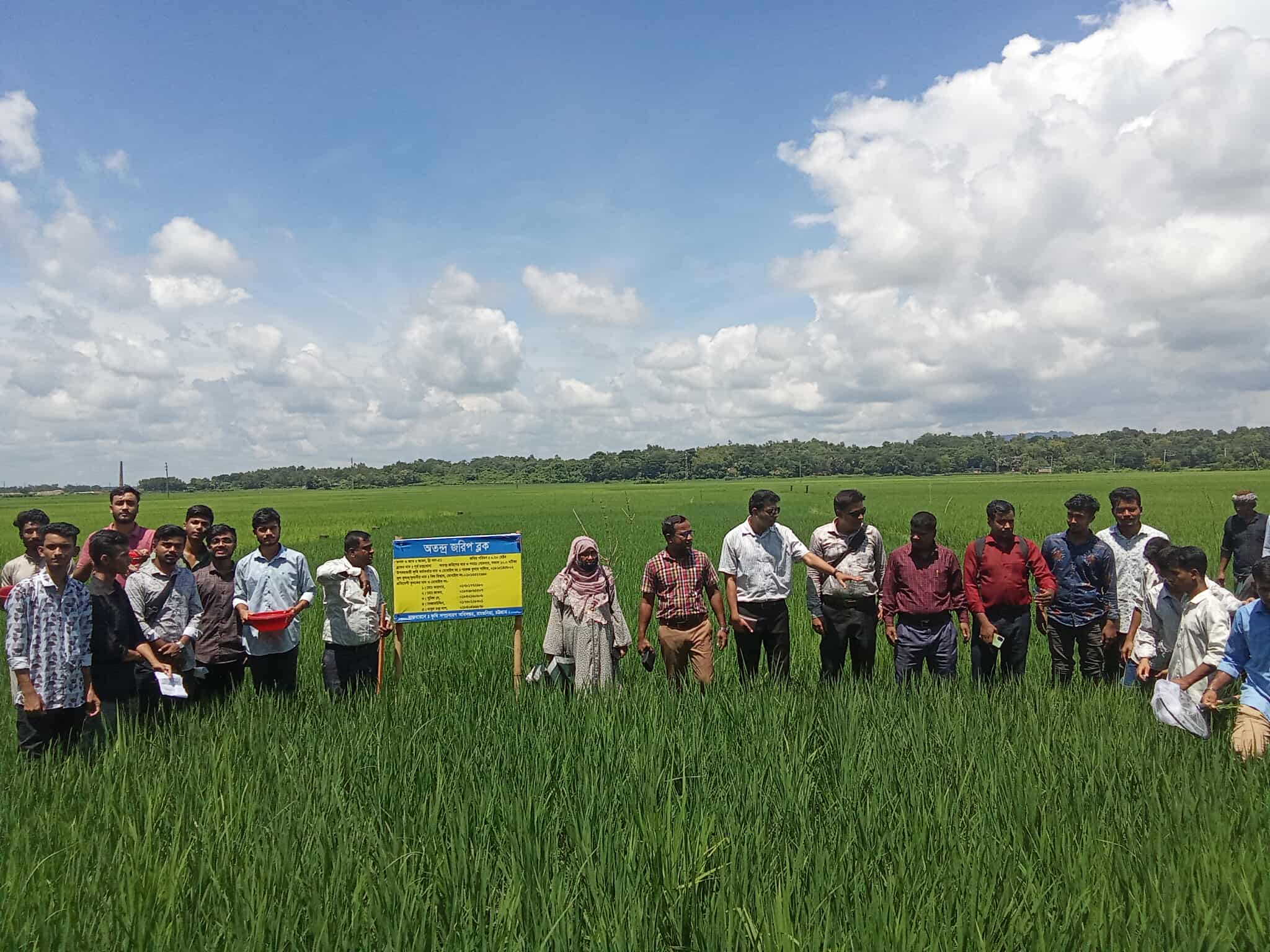 রাঙ্গুনিয়াতে ধান ফসলে রোগ ও পোকা দমনে কার্যকর ‘অতন্দ্র জরিপ’ পদ্ধতি