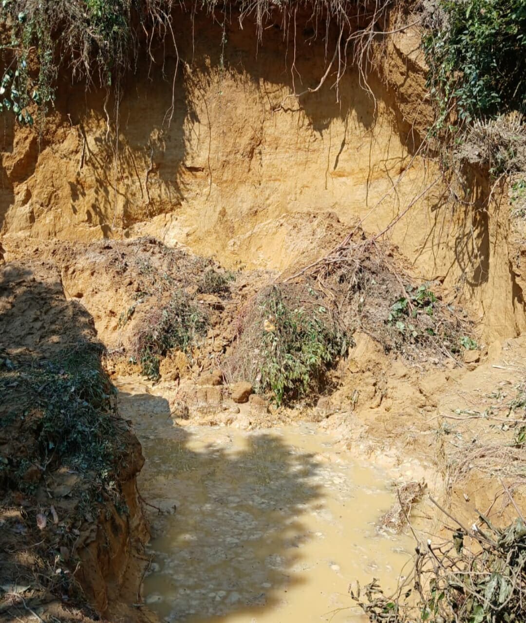 চট্টগ্রাম, মীরসরাইয়ে অবৈধ পাহাড় কাটায় বাঁধা, বনকর্মীদের উপর হামলা আহাত ৪